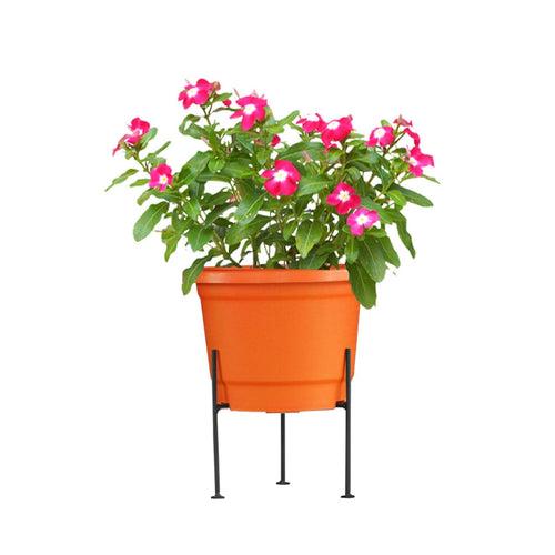 Rory Stand Suitable for 8 inch Pots