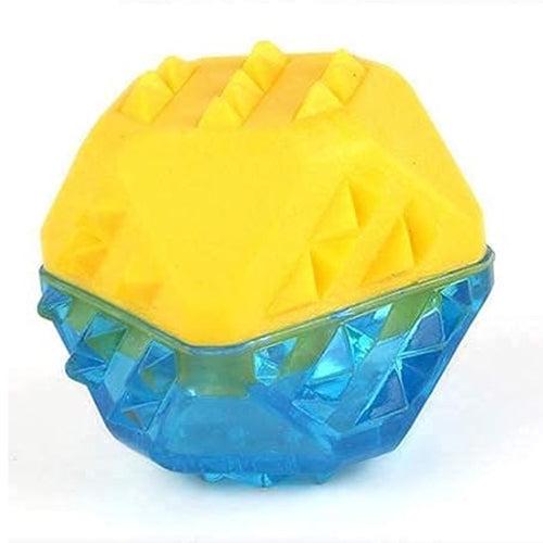 Holy Paws Chilled Ball EVA + TPR Dog Toy