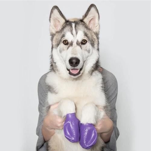 Pawz Waterproof Dog Boots - Large - Purple 12 PCS