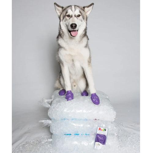 Pawz Waterproof Dog Boots - Large - Purple 12 PCS