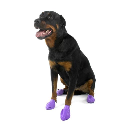 Pawz Waterproof Dog Boots - Large - Purple 12 PCS