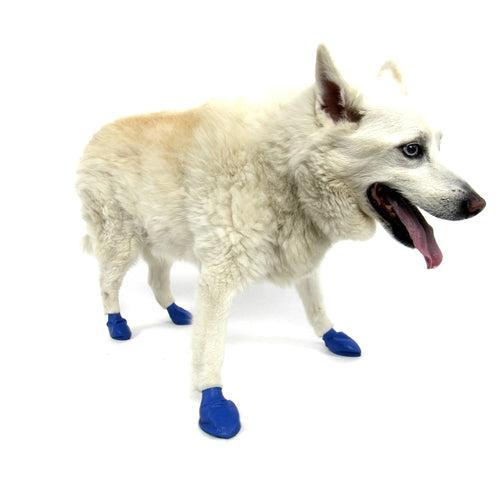 Pawz Waterproof Dog Boots - Medium - Blue 12 PCS