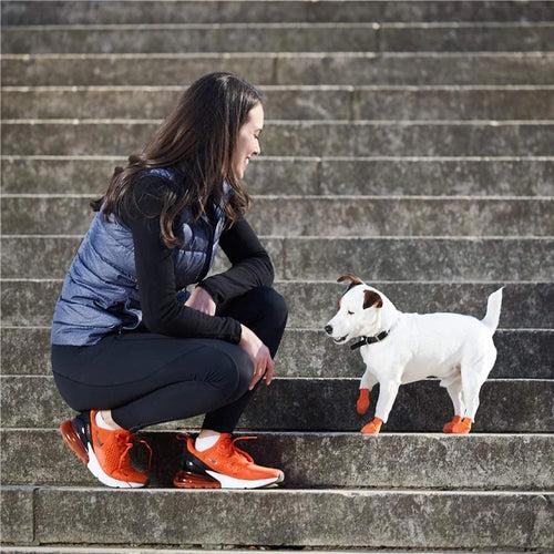 Pawz Waterproof Dog Boots - X Small - Orange 12 PCS