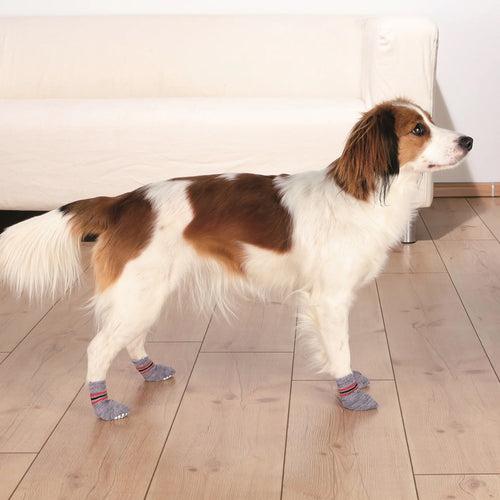 Trixie Hundesocken Non-Slip Dog Socks