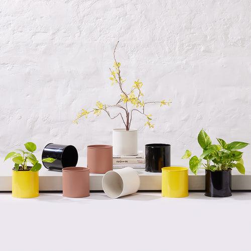 Zing - Shelf Planter