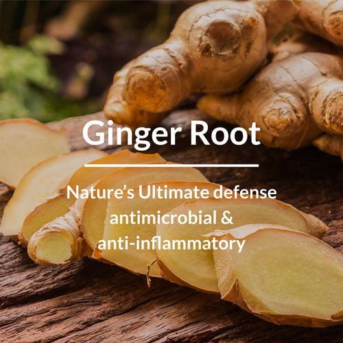 Ginger Root Dandruff-Control Shampoo