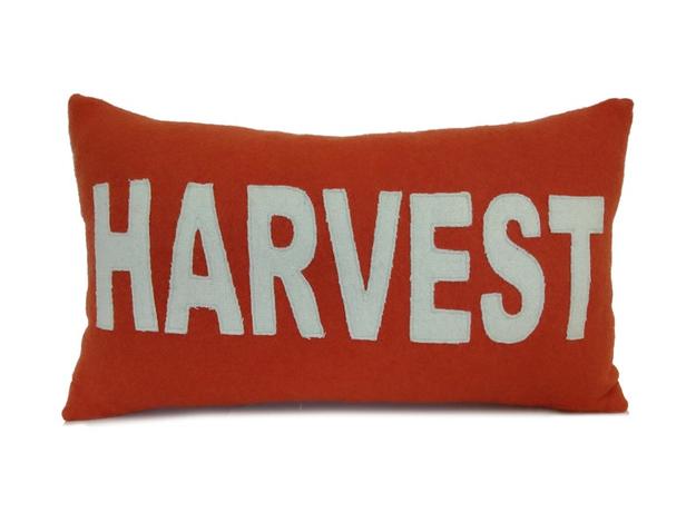 Harvest Pillow Cover