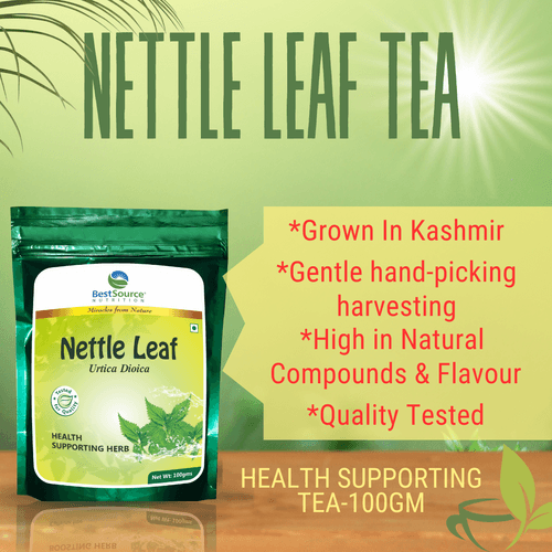 Nettle Leaf Herb