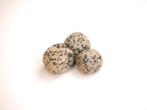 Dalmatian Jasper Tumble Stone: Embrace Playfulness and Grounded Energy