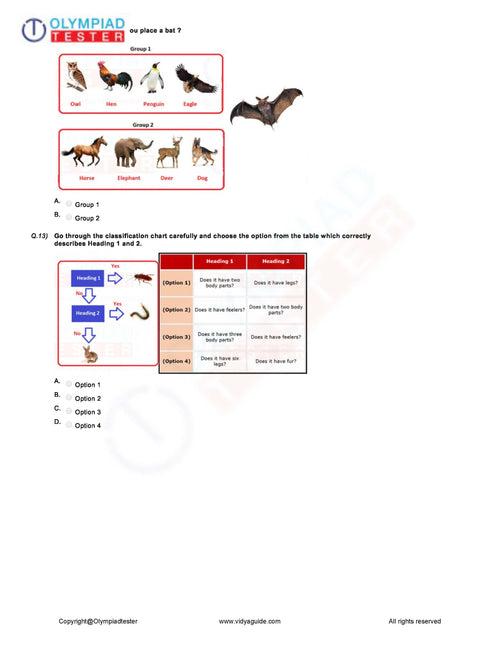 Class 4 NSO (National Science Olympiad) topper's guide