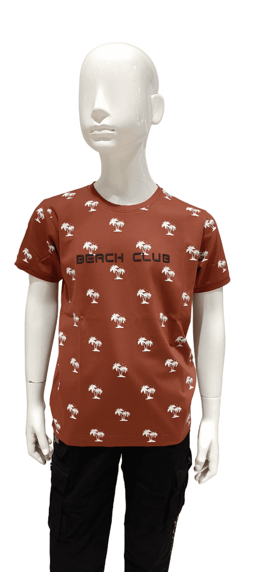 Boys Rust Printed Round Neck Half Sleeve Fancy T-Shirt