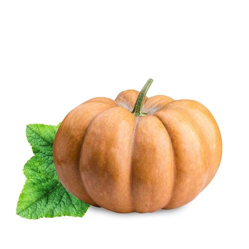 Organic Sweet Pumpkin