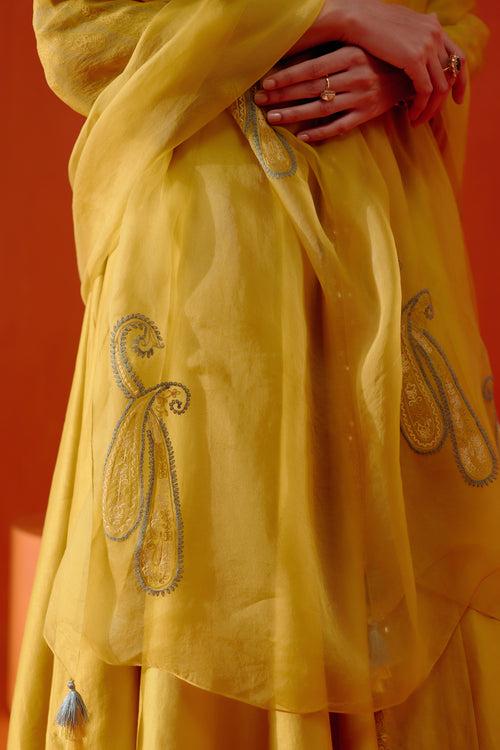 Mustard Embroidered Anarkali Set