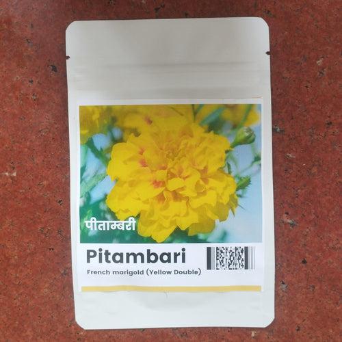 Pitambari/ पीताम्बरी  Double French Jafri Marigold (Konico Seeds)