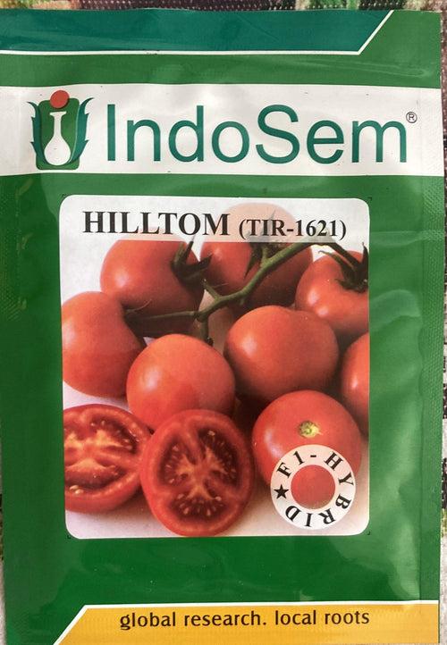 HILLTOM (TIR 1621) F1 Hybrid Tomato (Tropica Seeds)