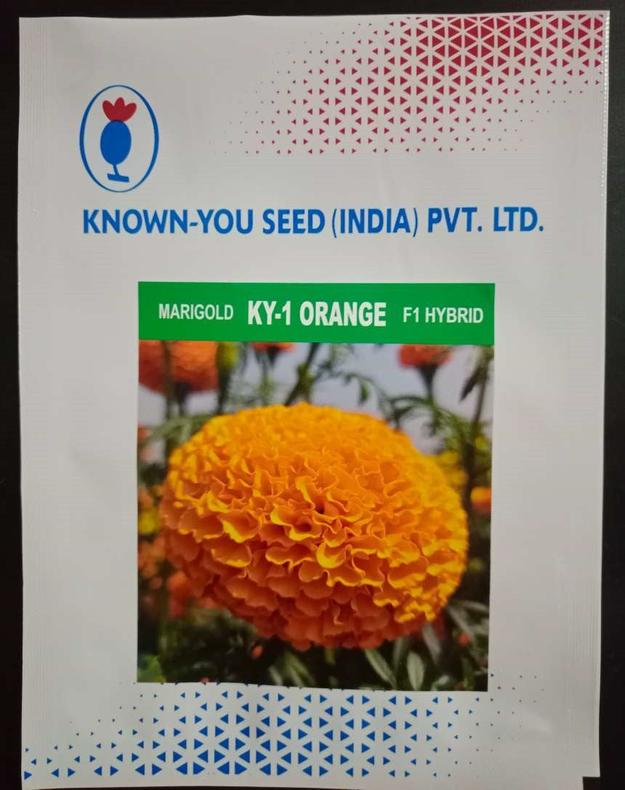 KY-1 ORANGE F1 Hybrid Marigold (KNOWN YOU SEEDS)