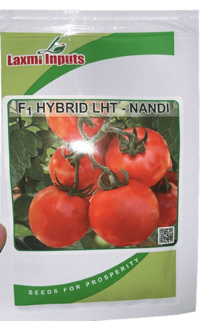 Nandi F1 Hybrid Toamto (Laxmi Inputs)