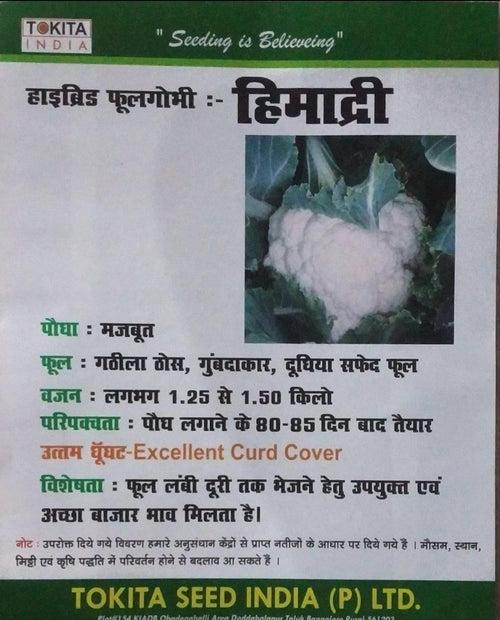 Himadri F1 Cauliflower (Tokita Seeds)
