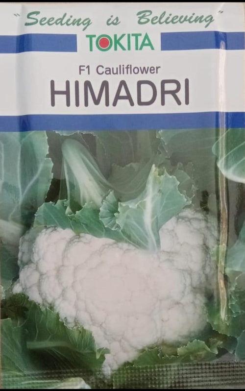 Himadri F1 Cauliflower (Tokita Seeds)