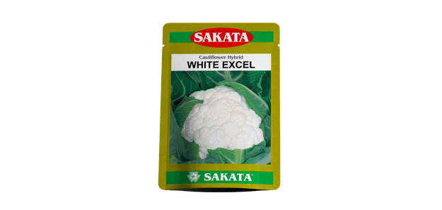 White Excel F1 Hybrid Cauliflower (Sakata Seeds)