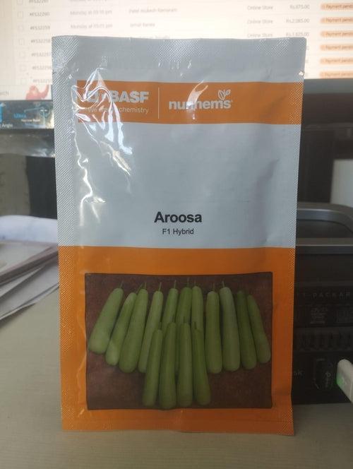 Aroosa F1 Hybrid Bottle Gourd (Nunhems)