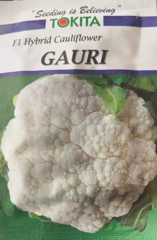 Gauri F1 Hybrid Cauliflower (Tokita Seeds)