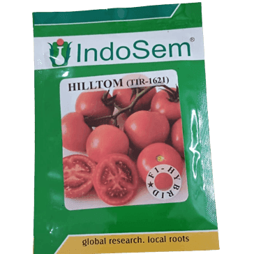 HILLTOM (TIR 1621) F1 Hybrid Tomato (Tropica Seeds)