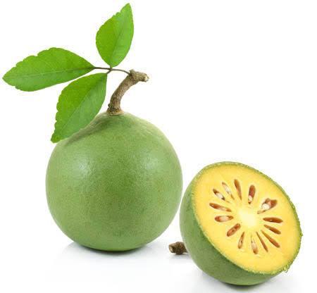 Bael Fruit seeds (Bel, Bilva Patra, Bengal quince, Maredu, Indian Bael, Golden Apple Fruit Seeds for planting) बेल फल
