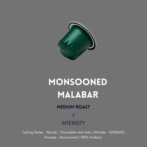 Monsooned Malabar| Intensity 7