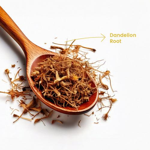 Dandelion Root