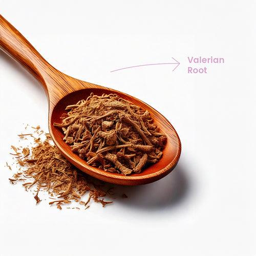 Valerian Root