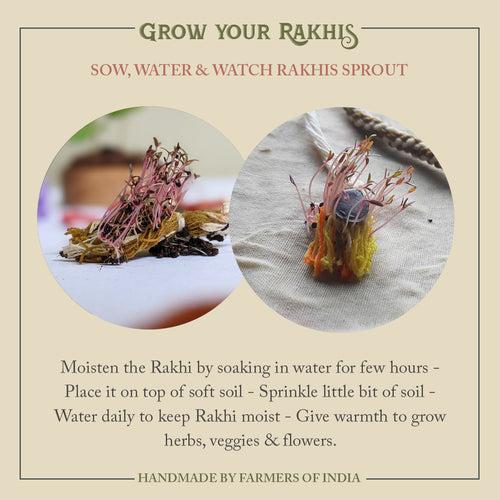 Paanch Phool - Eco-friendly Plantable Rakhi embedded with seeds