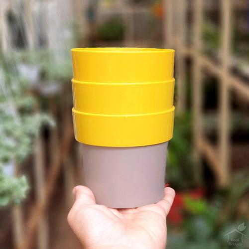 4" Arty Round Plastic Planter (Pack of 3)