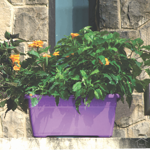 18" Window Planter Pots