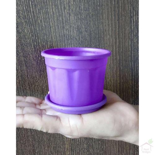 3" Purple Pot with Plate