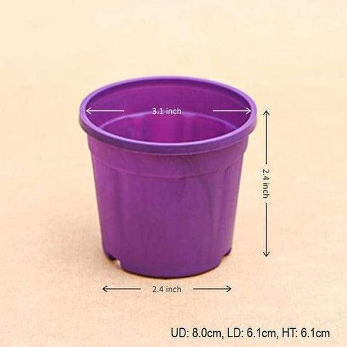 3" Purple Pot with Plate