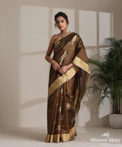 Handloom Brown Pure Chanderi Silk Saree With Big Chidiyaa Booti And Nakshi Border