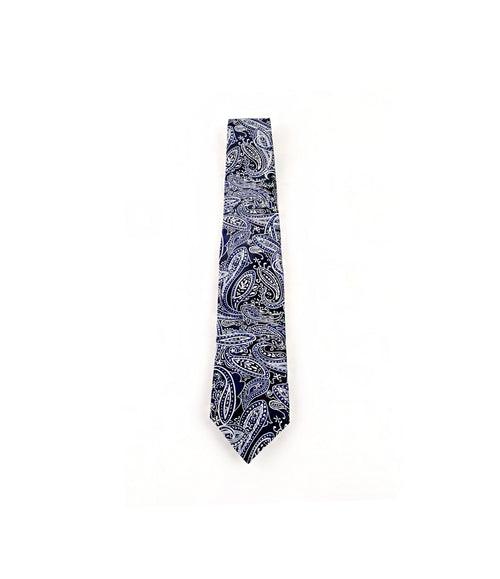 Navy & Silver Paisley Neck Tie