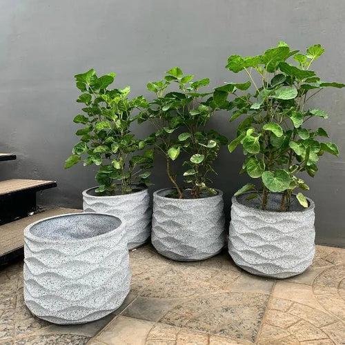 Ribbed wave style flower pots-your living room planters.