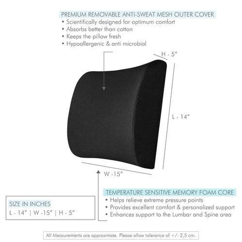 Dynamo - Work From Home Combo - Lumbar Backrest Pillow & Indoor Square Seat Cushion - Medium Firm