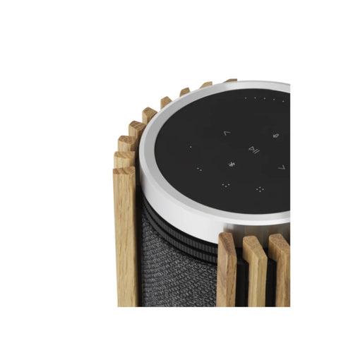 Bang & Olufsen Beolab 28 Wireless Stereo Speaker (Each)