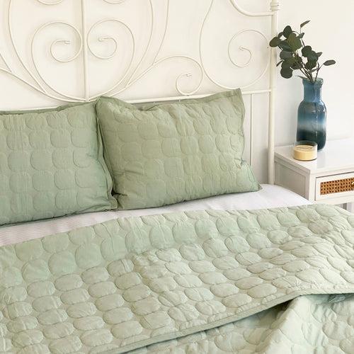 Zen Sage Quilted Bedding Set (Set of 3) by Sanctuary Living