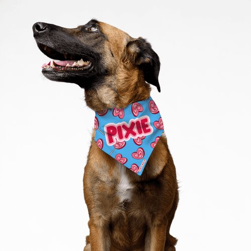 PawsIndia Customized Pet Bandana - Valentine's Edition Heart Candy