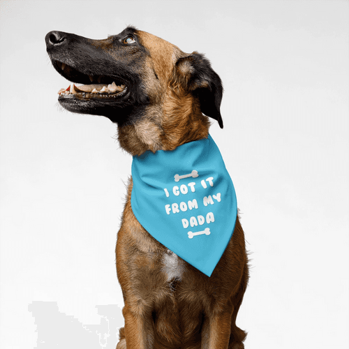 PawsIndia Pet Bandana - I Got It From My Dad