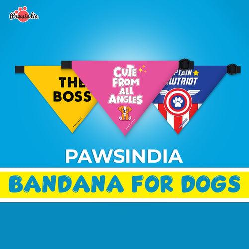 PawsIndia Pet Bandana - Throw The Ball