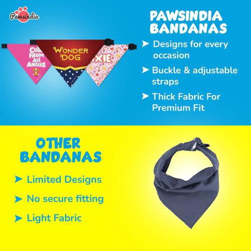 PawsIndia Pet Bandana - Super Boy - Blue