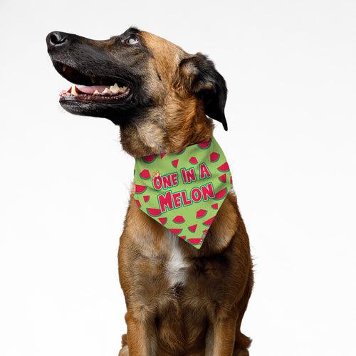 PawsIndia Pet Bandana - One In Melon