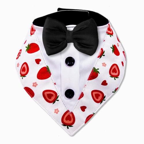 PawsIndia Strawberry  Pattern Tuxedo Bandana With Black Bow For Pets