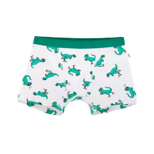 Foxy Dino 4-Pack Boy Trunks