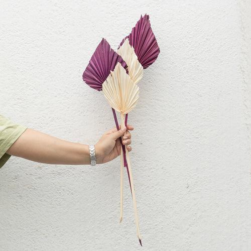 Palm Spear Stems - Set of 3